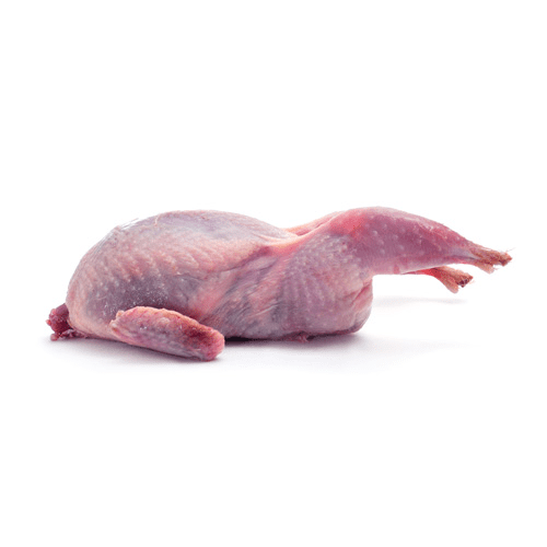 Quails - Image 1