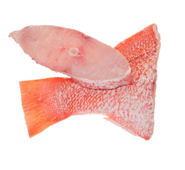 Red Bream Steak - Image 1