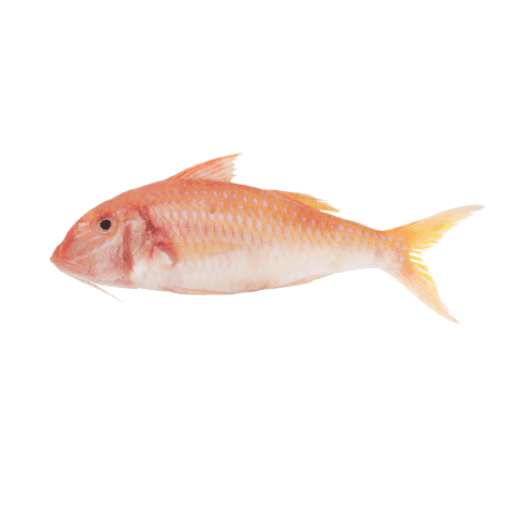 Red Mullet - Image 1