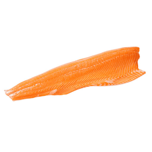 Salmon Fillet - Image 1