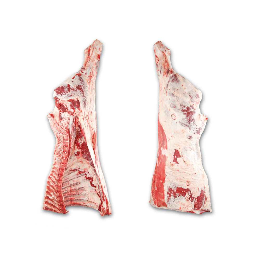 Hind Quarter - Image 1