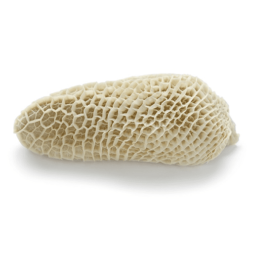 Beef Honeycomb - Image 1