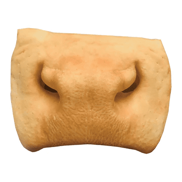 Ox Snout Beef Snout - Image 1