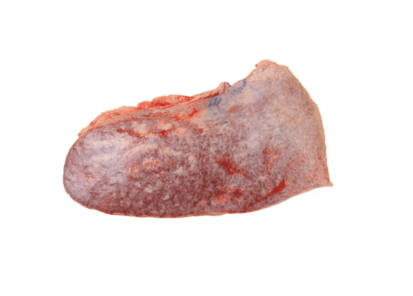 Beef Spleen - Image 1