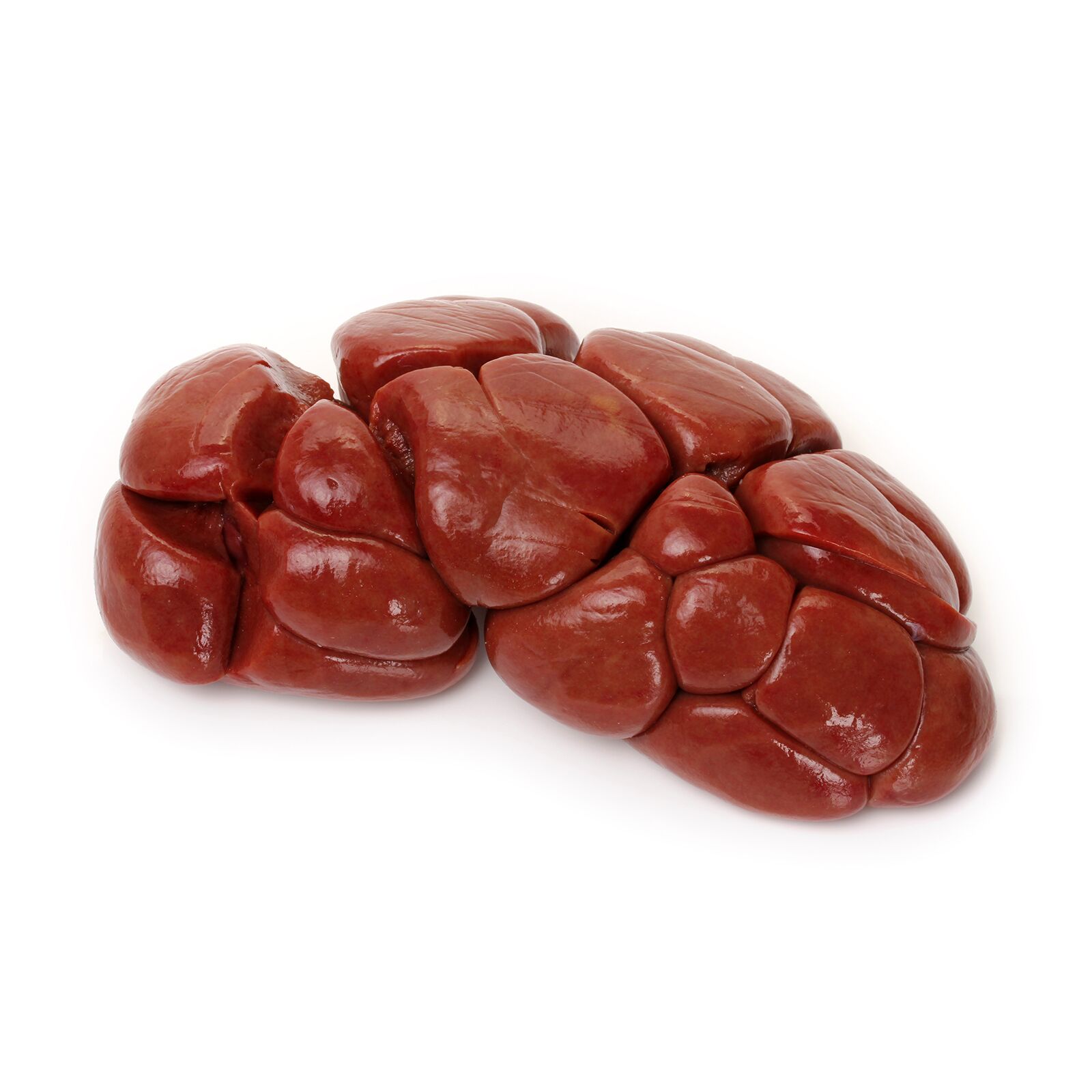 Beef Kidney - Image 1