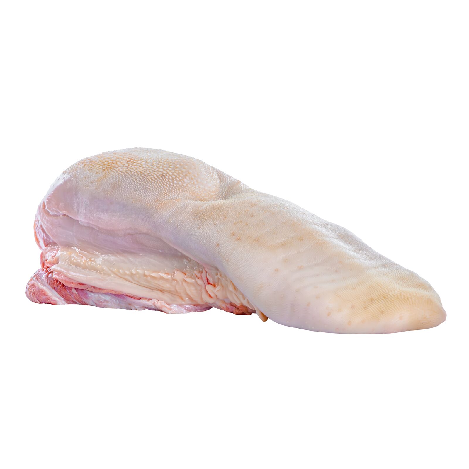Beef Tongue - Image 1