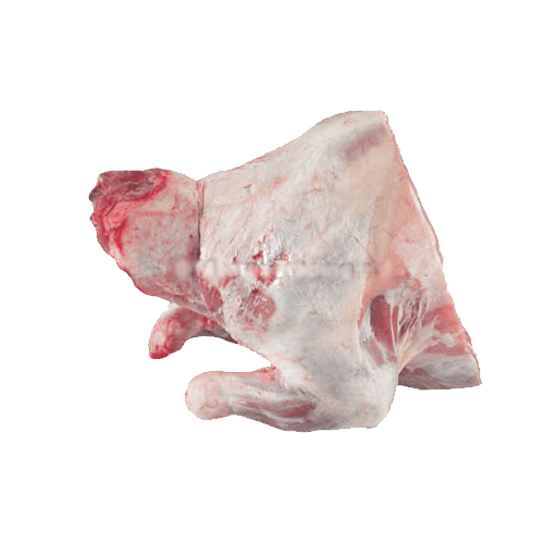 Lamb Front - Image 1