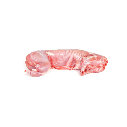 Rabbit - Image 1